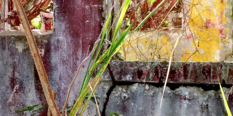 abstract wall vieques